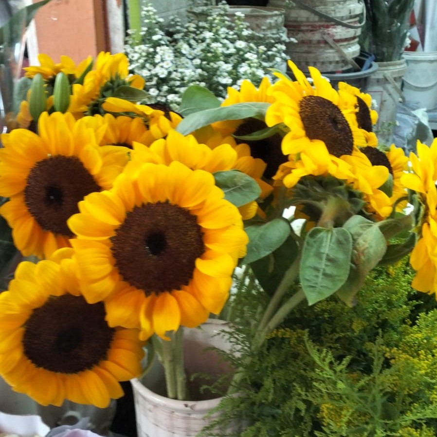 Tips Merawat Bunga Segar